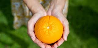 Free shipping on orders over $25 shipped by amazon. Naranja El Truco Infalible Para Pelarla