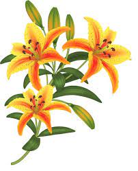 Flowers Vector Fikirler