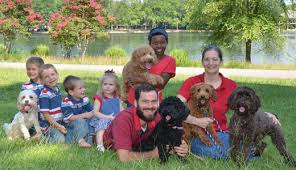 Labradoodle puppies for sale asheville nc. Blue Ridge Labradoodles
