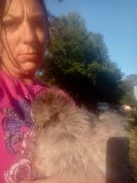 Chicken owner loses pet due to thunderstorm scare