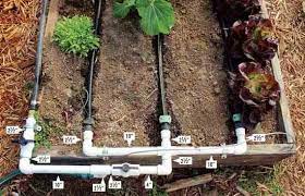 Pvc water sprinkler for kids. How To Build A Drip Irrigation System Diy Mother Earth News