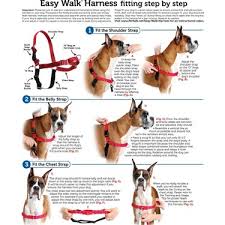 Easy Walk Harness Kopek Gogus Tasmasi X Small Fiyati