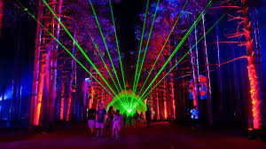 20 Legendary World Festivals To See In Your Lifetime Electric Forest Festival Electric Forest Forest Festival