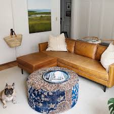 Pet Friendly Homes Flor Suit Yourself In 2020 Leather Sofa Sofa Design Design