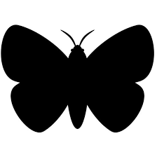 Yahoo!ニュース - News update