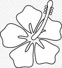 We did not find results for: Hawaii Drawing Hibiscus Flower Clip Art Png 5922x6462px Hawaii Art Art Museum Black Black And White
