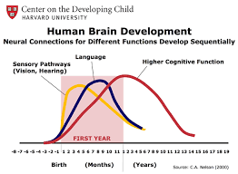 Brain Development Large Kids Planet