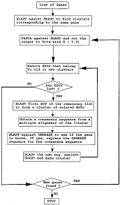 Flow Chart Of The Homology Walking Algorithm Which Uses