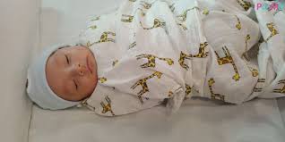 We did not find results for: Jangan Diy Rawatan Jaundis Di Rumah Doktor Ini Jelaskan Kenapa Bayi Perlu Ditahan Di Wad Bila Jaundis Pa Ma