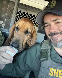 Izzy Stanford, a member of the Flagler Sheriff Police Athletic League's  boxing program and daughter of FCSO's own Deputy Rick Stanford and  Communications Specialist Lindsay Stanford, floated like a butterfly and  stung