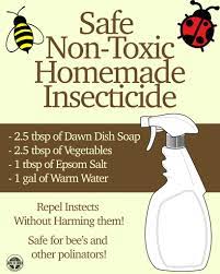 The mixture causes tomato worms to squirm as soon as the soap touches them. How To Make A Safe Homemade Insecticide Asheville Lawn N Order