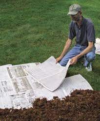 Pin On Everything To Do With Vegetable Gardens