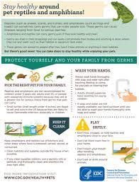 Stay Healthy Around Pet Reptiles And Amphibians Healthy Pets Healthy People Cdc Healthy Pets Reptiles Pet Reptiles And Amphibians