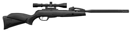 Carabine Gamo Replay Maxxim 10 coups