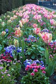 Letsgoforahike Let S Go For A Hike Beautiful Flowers Flower Garden Pretty Flowers