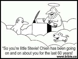 Do Animals Go To Heaven Animals Have Both A Soul And A Spirit I Love Dogs Dog Love Pets