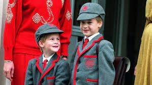 Harry is the son of prince charles and the late diana, princess of wales. Duke Of Sussex The Party Prince Who Carved His Own Path Bbc News