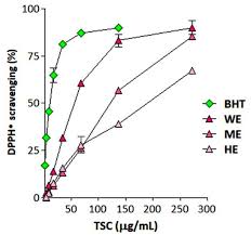 Image result for Elionurus platypus