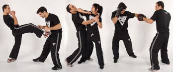 Resultado de imagem para krav maga