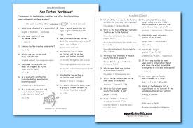Free Sea Turtles Worksheet Pdf Download Sea Turtle Coloring Sheet