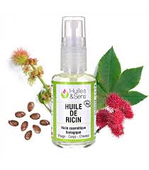 Aussi appelé noisetier sauvage, le jojoba est un arbuste qui pousse essentiellement en amérique du sud et dont les racines sont capables d'atteindre une longueur de 30 mètres pour aller chercher de. Huile De Ricin Pourquoi Choisir Cette Huile