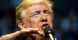 What it's like to be blamed for Trump's candidacy: an interview with Russ  Steinberg