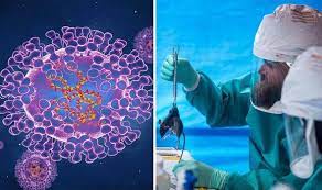 Monkeypox is a viral zoonotic disease that occurs primarily in tropical rainforest areas of. What Is Monkeypox Outbreak In Wales What Are The Symptoms Express Co Uk