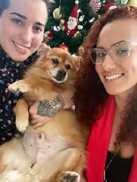 Día 25 ✨✨✨ y a un tipo gruñón le han concedido el deseo navideño: UN VIEJO  LLAMADO DON ELVIN ahora ELVIN ROSA ANDINO; no se va de la finca jamás 😍  Hace