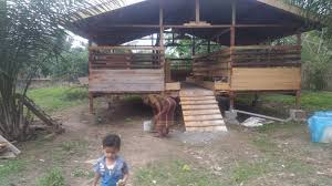 Desain dan gambar kandang kambing modern terbaik. Kandang Kambing Umbaran Dan Koloni
