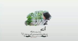 بالتوفيق ان شاء الله Flowers Plants Dandelion