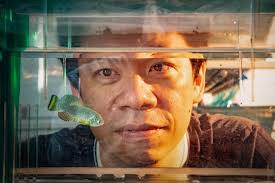 Notes from the Chair