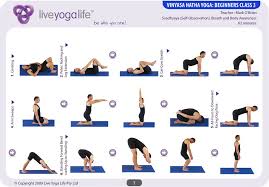Liveyogalife Com Hatha Yoga Poses Vinyasa Yoga Poses Yoga Moves For Beginners