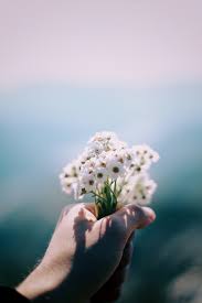 Beautiful Mobile Wallpaper Flowers In Hand Cool Backgrounds 1080x1920 wallpaper for wallpaperformobileorg flowers of mobile hd images androids. beautiful mobile wallpaper flowers in