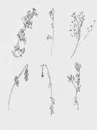 Maybe you would like to learn more about one of these? Dry Flowers Sketch Flower Sketches Dried Flowers Body Art Tattoos