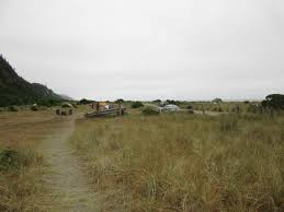 Maybe you would like to learn more about one of these? Campsite Picture Of Gold Bluffs Beach Campground Orick Tripadvisor