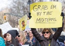 Local affiliates of the aclu are active in all 50 states, the district of columbia, and puerto rico. Aclu President We Re Facing A Disaster In The November Election Verdict Magazine Issue 5 September 2020