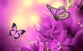 Purple butterfly wallpaper flower phone wallpaper butterfly art flower art iphone wallpaper wallpaper backgrounds beautiful landscape wallpaper beautiful flowers wallpapers beautiful butterflies. Pin On Whatsapp Images Hd Download