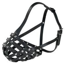 This mix may be combined with one or more liquids such as water, milk, plant milks, yogurt. More Museliere En Cuir For L Maxi Zoo