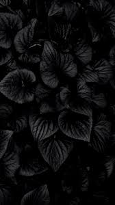 Find the best backgrounds of flowers on getwallpapers. Dark Flower Phone Wallpapers Top Free Dark Flower Phone Backgrounds Wallpaperaccess