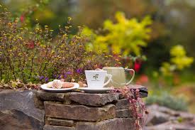 You can easily customize your yoga holiday by searching for a not sure where to begin on your quest for yoga retreats in ireland? Handpicked Meditation Retreats In Ireland 2021 2022 Yovada Com