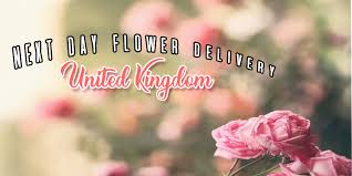 We even have a handy calendar so you can see what flowers are available for your chosen delivery date. The 12 Best Options For Next Day Flower Delivery In The Uk 2021