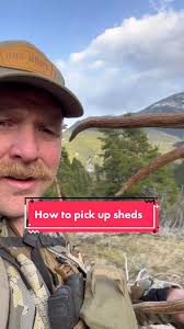 Funny looking stick.