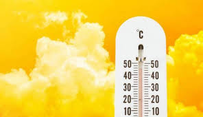 أكثر الأماكن زياراً في عمان هي شواطئ البحر الميت و الذي يعج بهواة الغوض و الغطس لاكتشاف الشعب المرجانية. Ø§Ù„Ø£Ø±ØµØ§Ø¯ Ø§Ù„Ø­Ø±Ø§Ø±Ø© Ù‚Ø¯ ØªØªØ¬Ø§ÙˆØ² Ø§Ù„Ù€ 50 ØµØ­ÙŠÙØ© Ø£Ø«ÙŠØ± Ø§Ù„Ø¥Ù„ÙƒØªØ±ÙˆÙ†ÙŠØ©