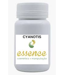 Image result for Cyanotis vaga