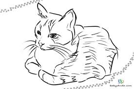 Ausmalbilder Katzen Katzchen Katzenvorlagen Babyduda Malbuch