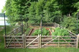 The deer won't like being caught between the fences, so they electric fence: Deer Proof Gardens Ideas Houzz