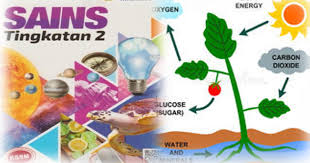 Kitar karbon, kitar oksigen dan kitar air 2. Jawapan Buku Teks Sains Tingkatan 2 Download Online Pendidikanmalaysia Com