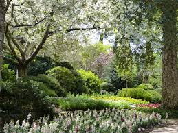 If you enjoy experiencing a slice of tuscany, gorgeous gardens and sampling delicious wines, then head out to ferrari carano winery in sonoma county, california. Toasting Spring With Tulips At Ferrari Carano Winery The Traveling Gardener