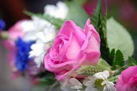 Facebook is showing information to help you better understand the purpose of a page. Flori Superbe Home Facebook