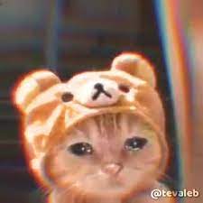 Zombie montado en un pollo con diferentes canciones de fondo. Gatos En Aprietos El Muchacho De Los Ojos Tristes Facebook